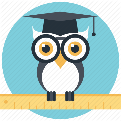 Wise Owl