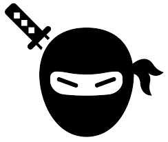 Data Ninja